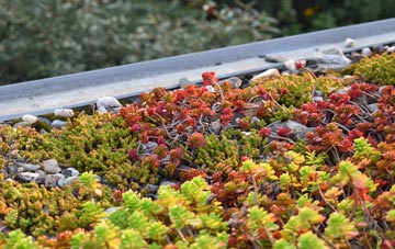 the cost of Stedham green roof installation