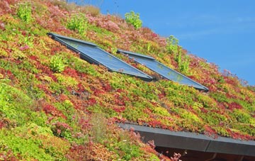 Stedham living roof systems